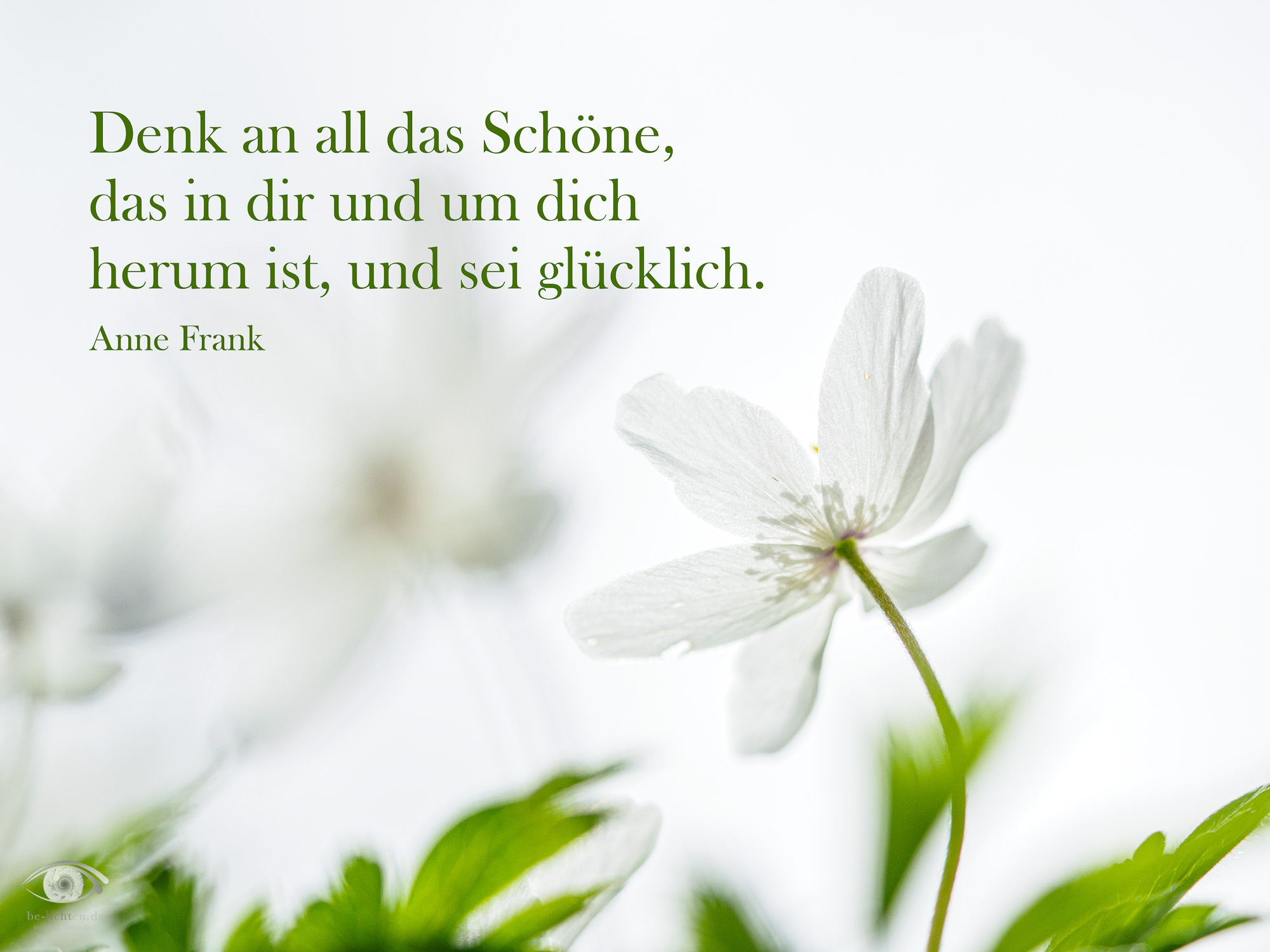 WOCHENimPULS 2025/15