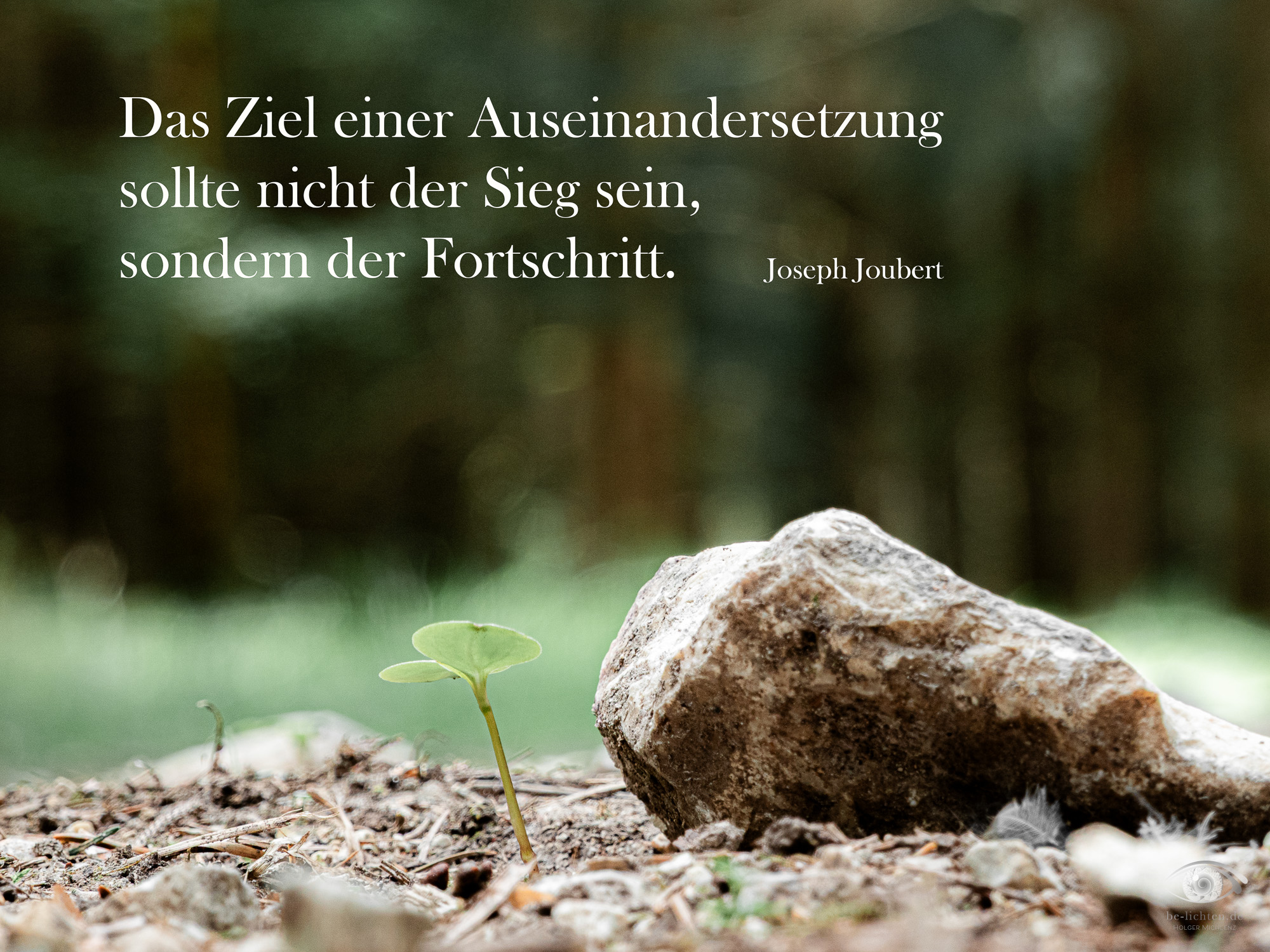 WOCHENimPULS 2025/29