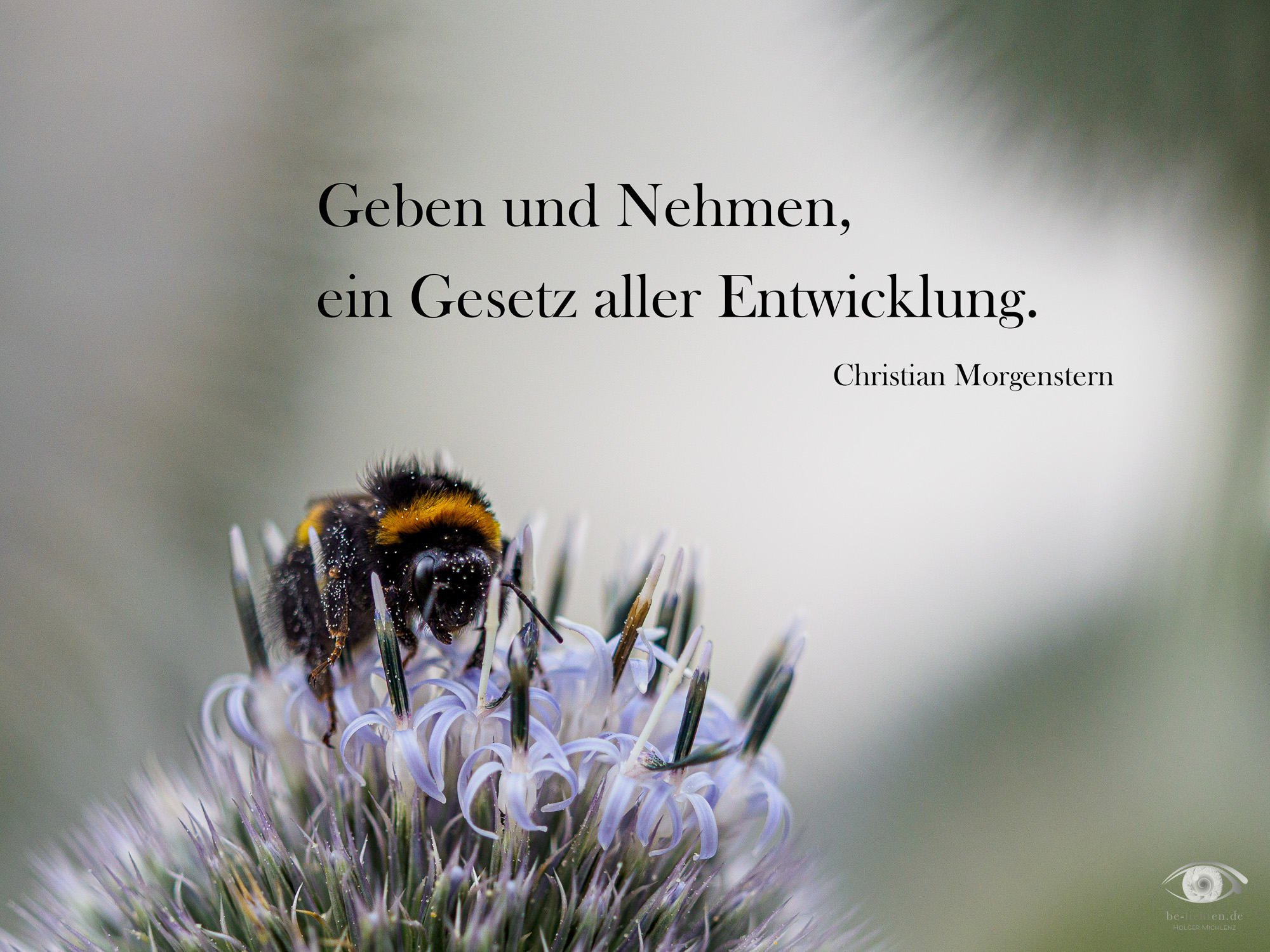 WOCHENimPULS 2025/31