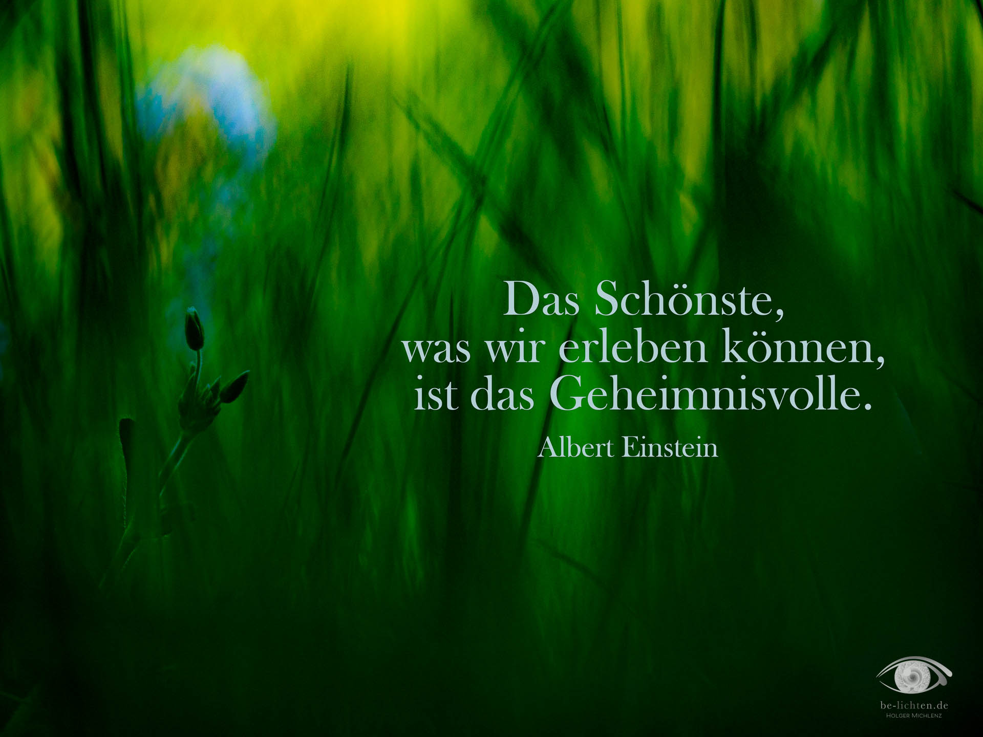 WOCHENimPULS 2025/32