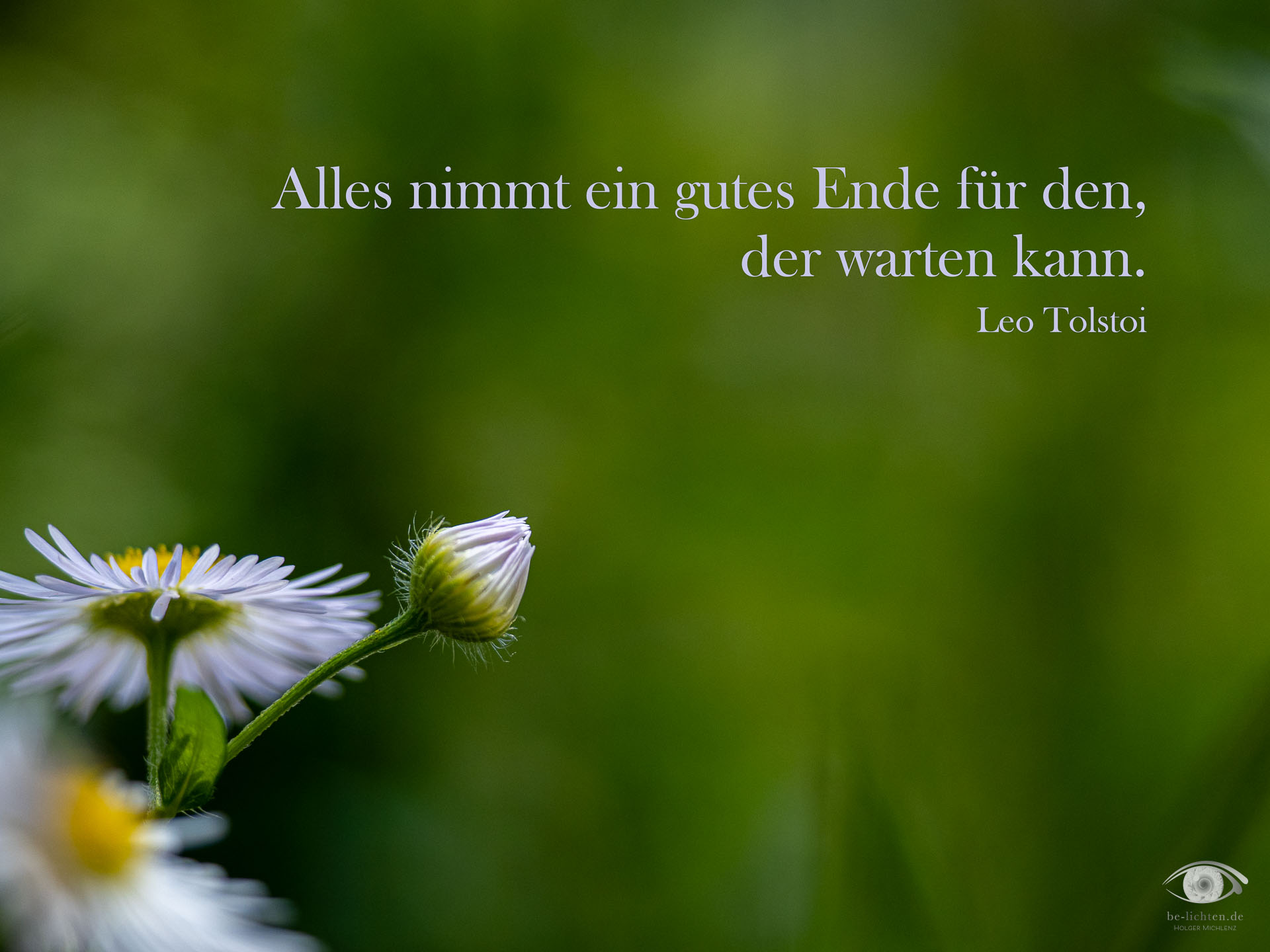 WOCHENimPULS 2025/35