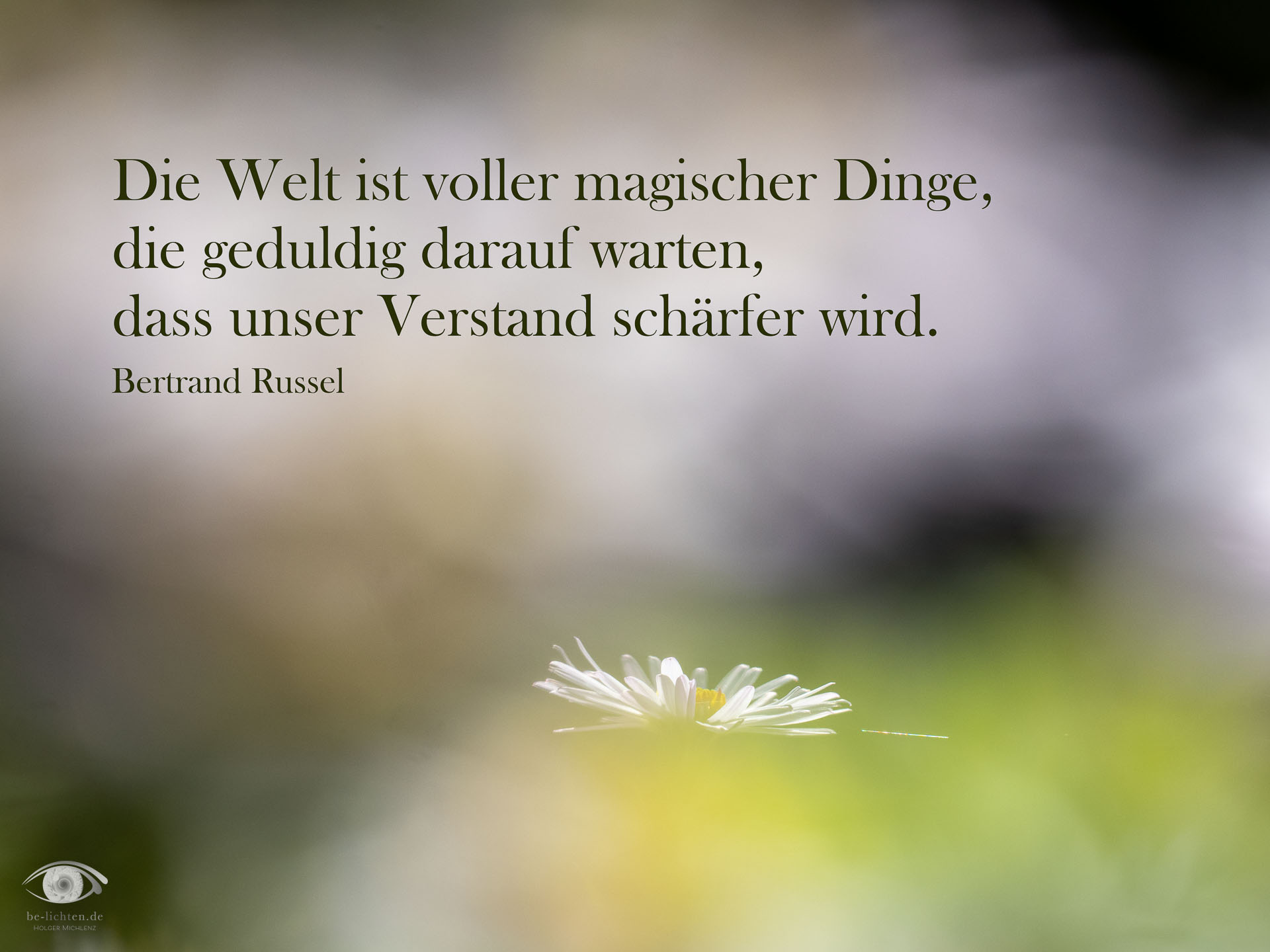 WOCHENimPULS 2025/42 WOCHENimPULS 2025/42