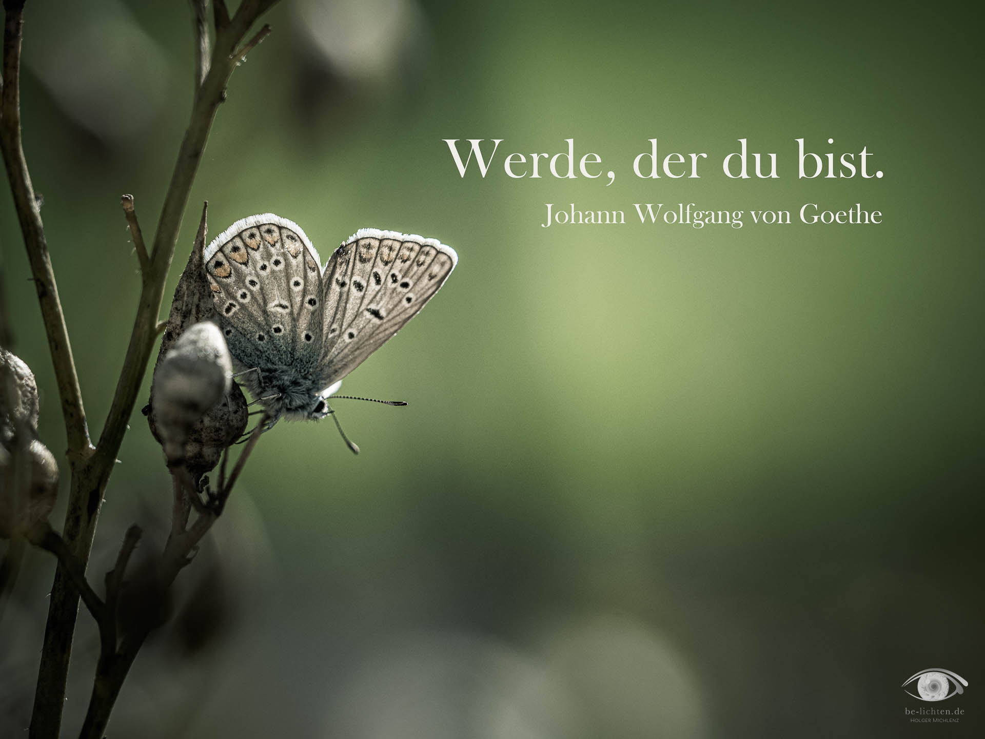 WOCHENimPULS 2025/41 WOCHENimPULS 2025/41
