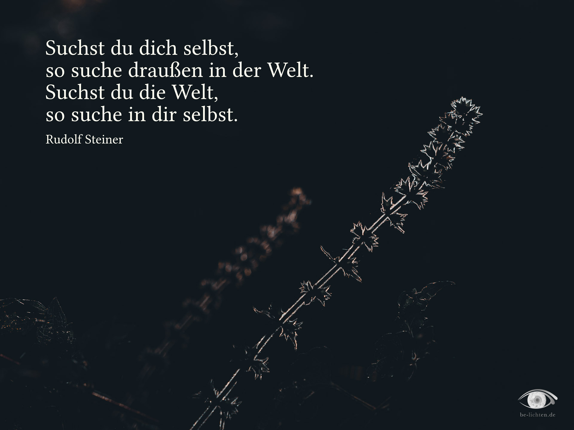 WOCHENimPULS 2025/45