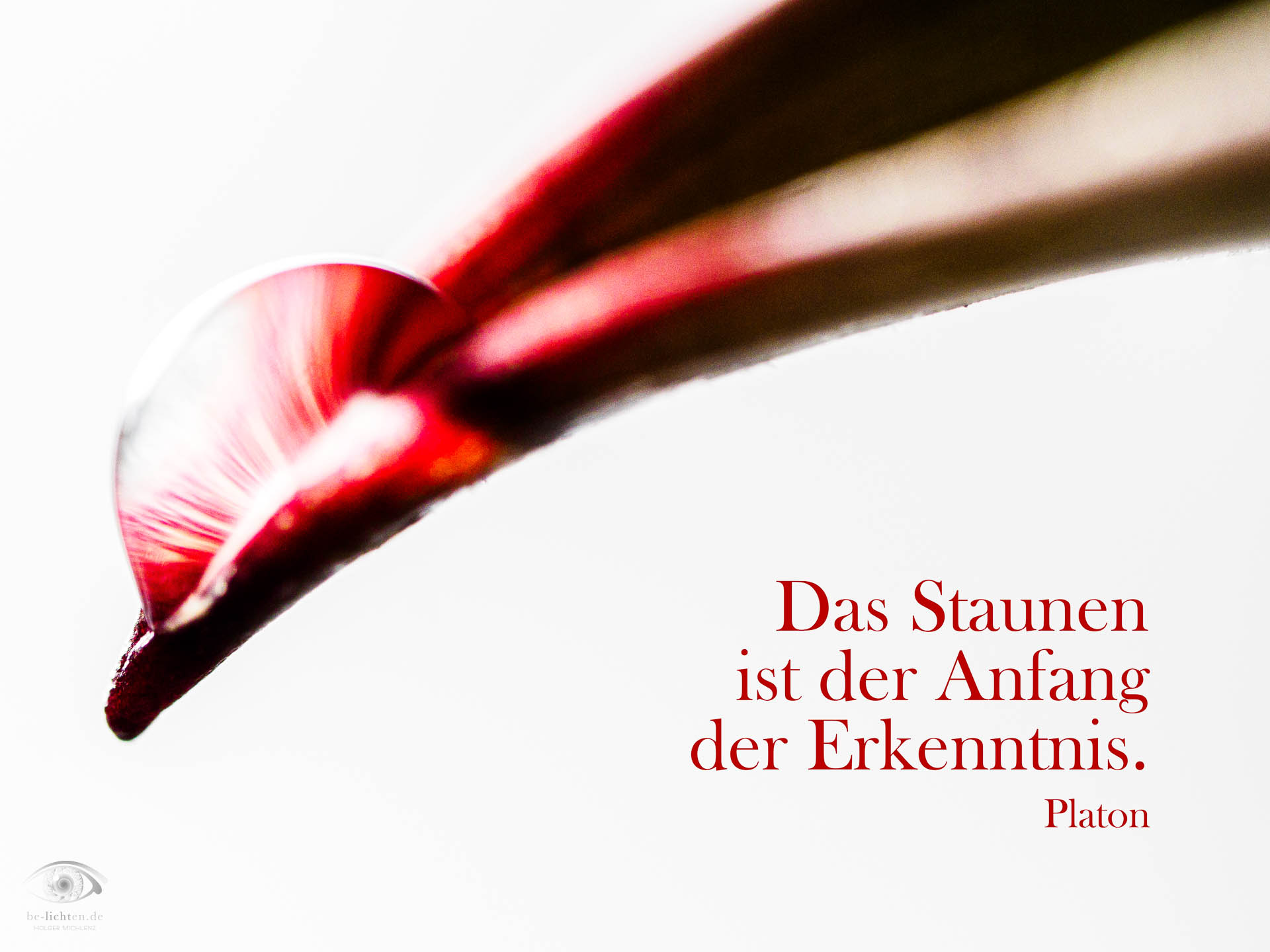 WOCHENimPULS 2025/50