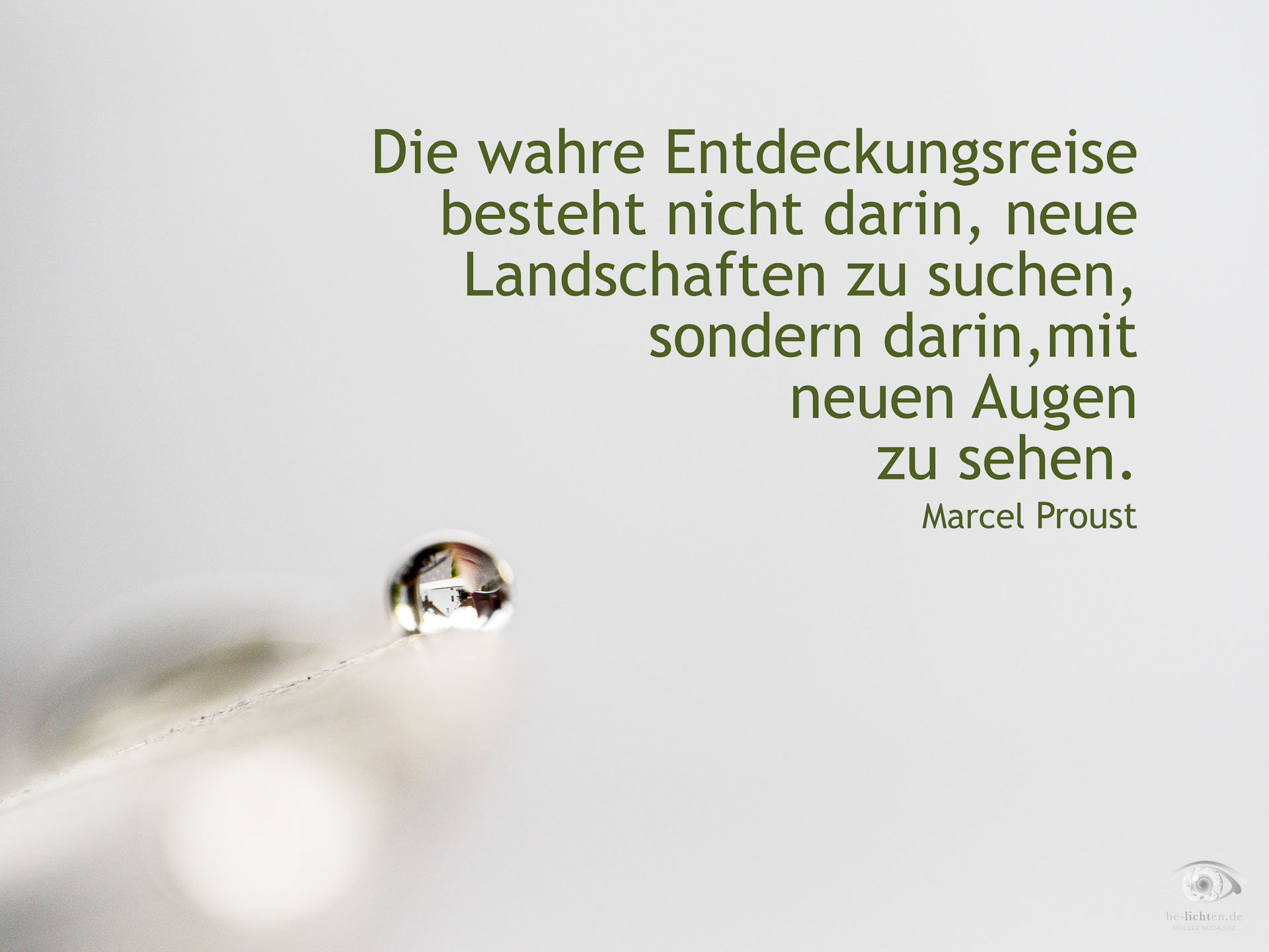 WOCHENimPULS 2025/51