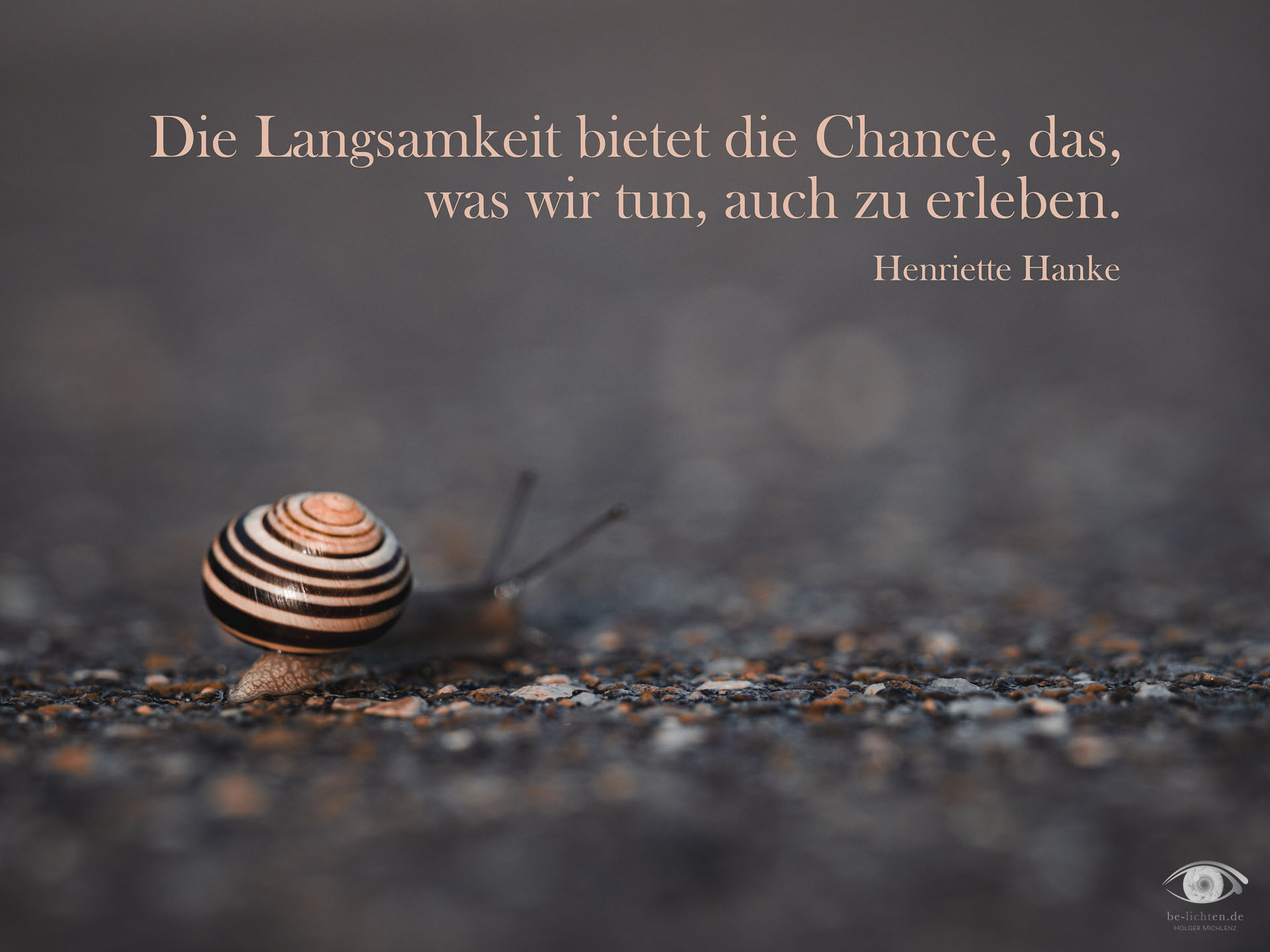 WOCHENimPULS 2025/52