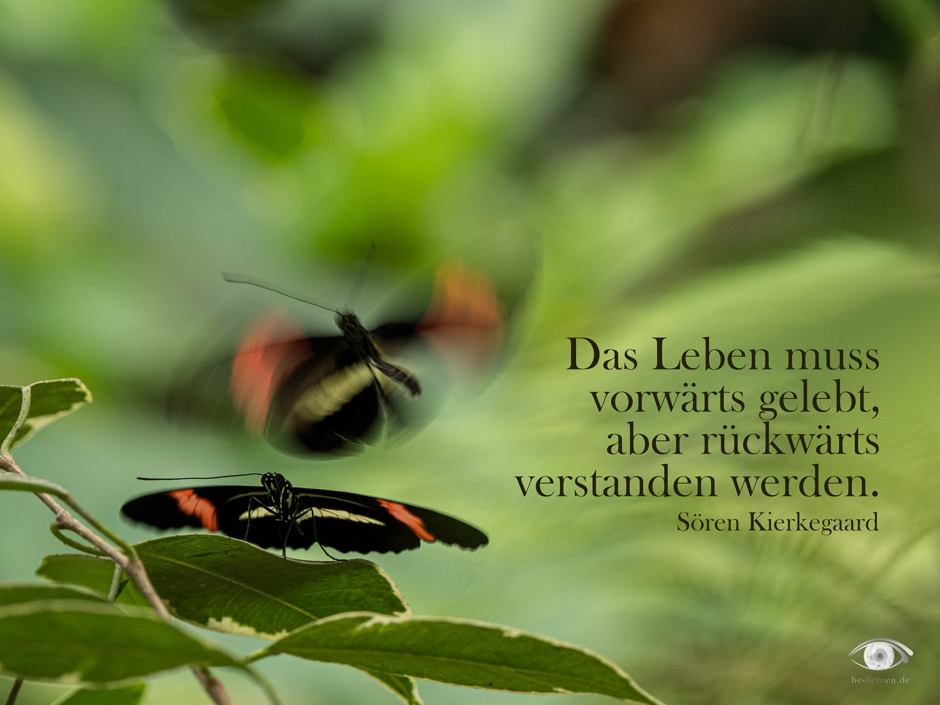 WOCHENimPULS 2026/04