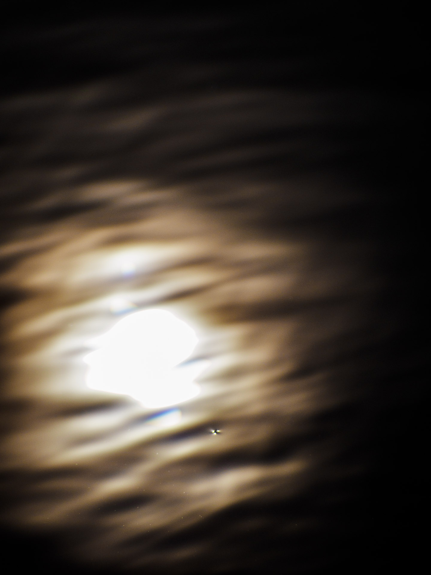 Kleiner Zeuge des Lichts